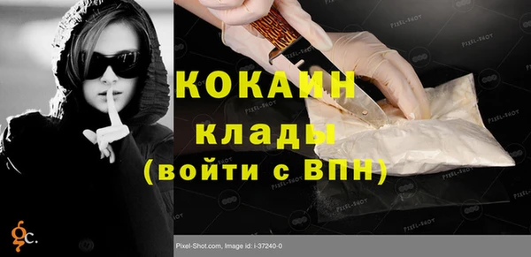 индика Аркадак