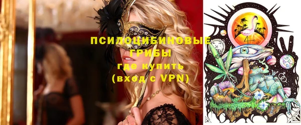 индика Аркадак