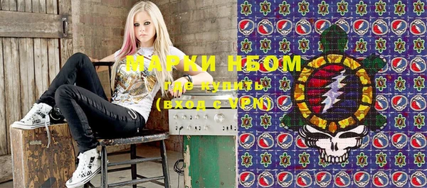 индика Аркадак