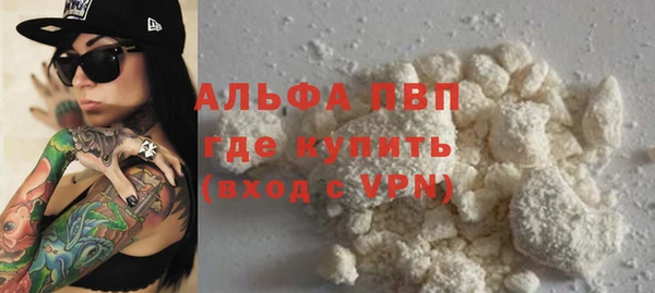 прущие грибы Балабаново
