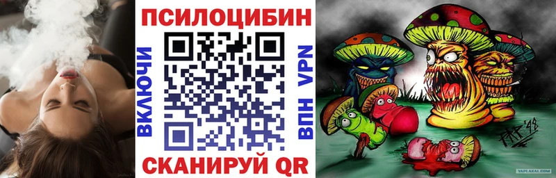 где найти наркотики  Людиново  даркнет какой сайт  Галлюциногенные грибы прущие грибы 